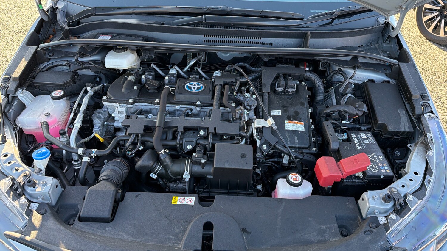 Used Toyota Corolla 2023 for sale - 77028203: Photo 16