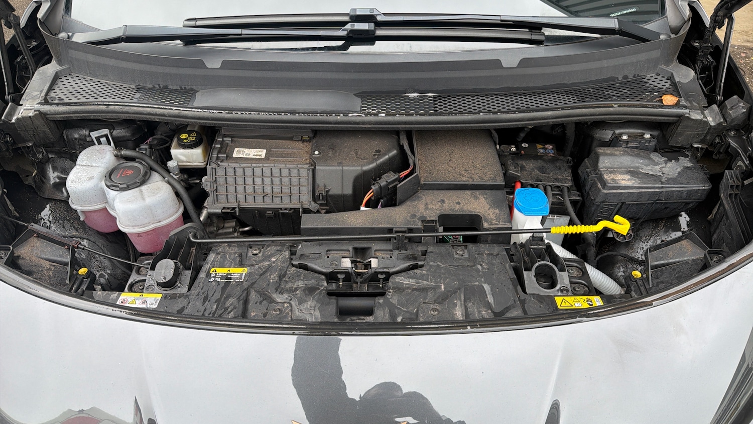 Used Cupra Born 2024 for sale - 77494647: Photo 16