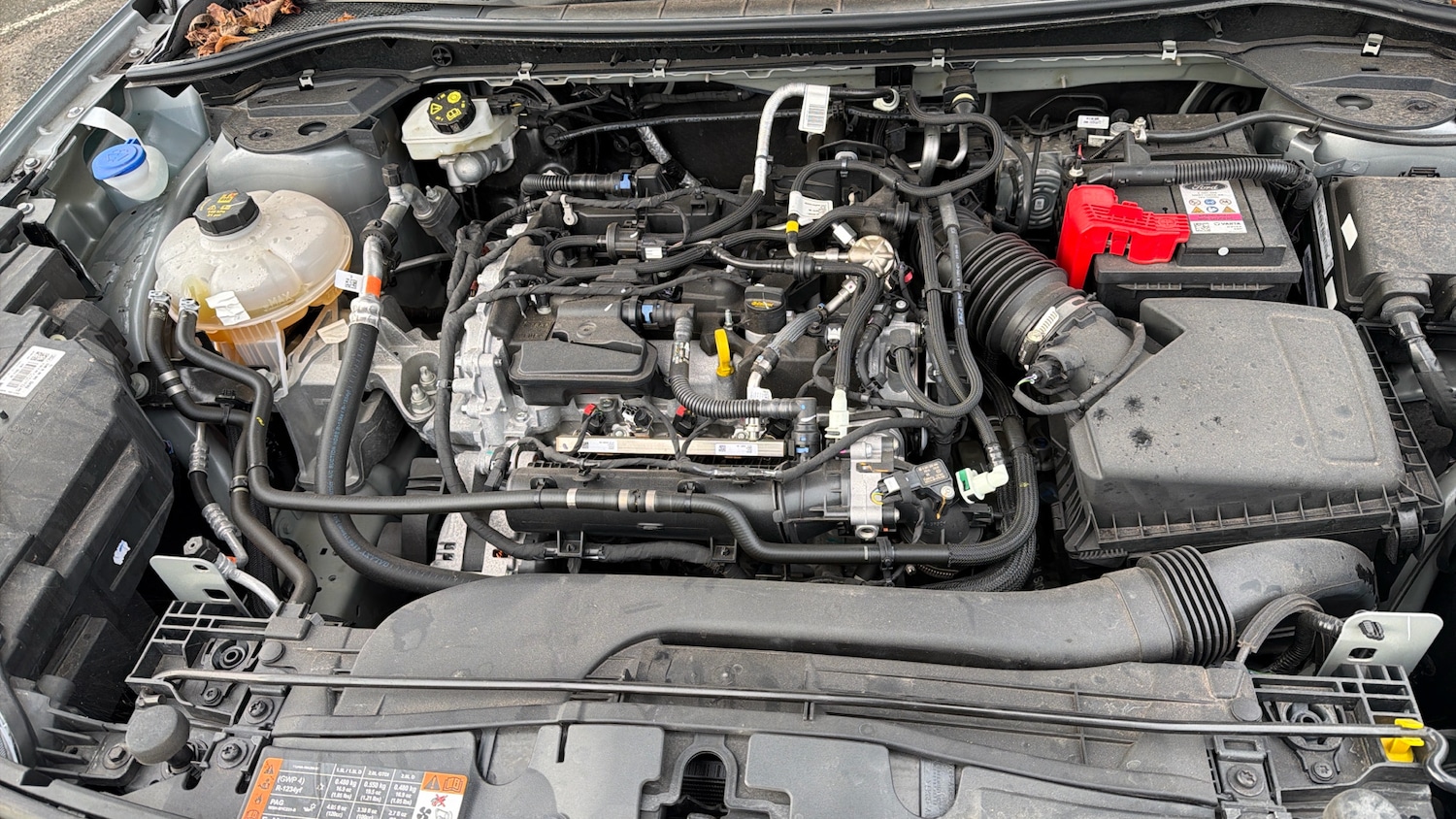 Used Ford Kuga 2023 for sale - 76821498: Photo 16