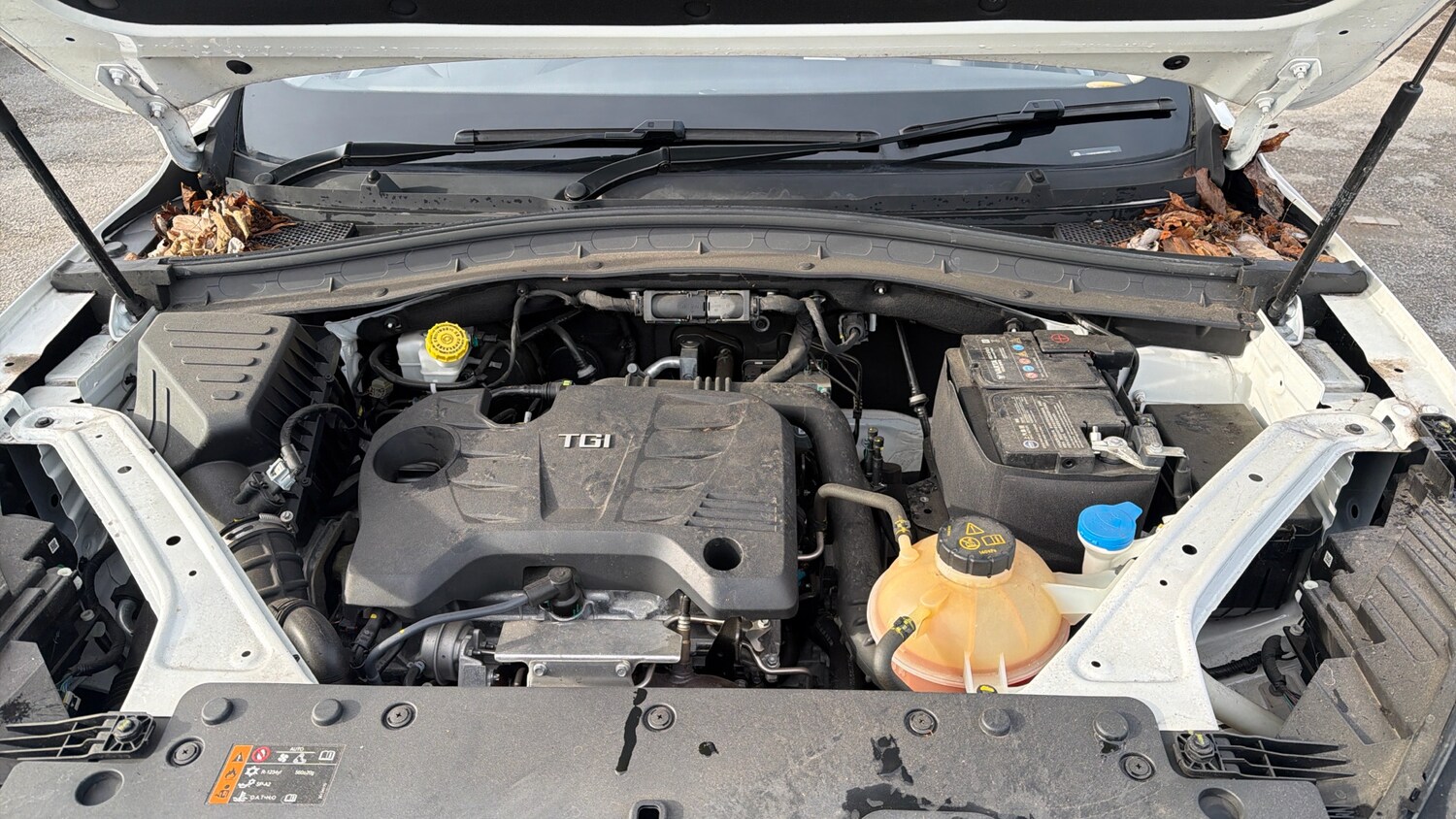 Used MG MG HS 2023 for sale - 77494650: Photo 16