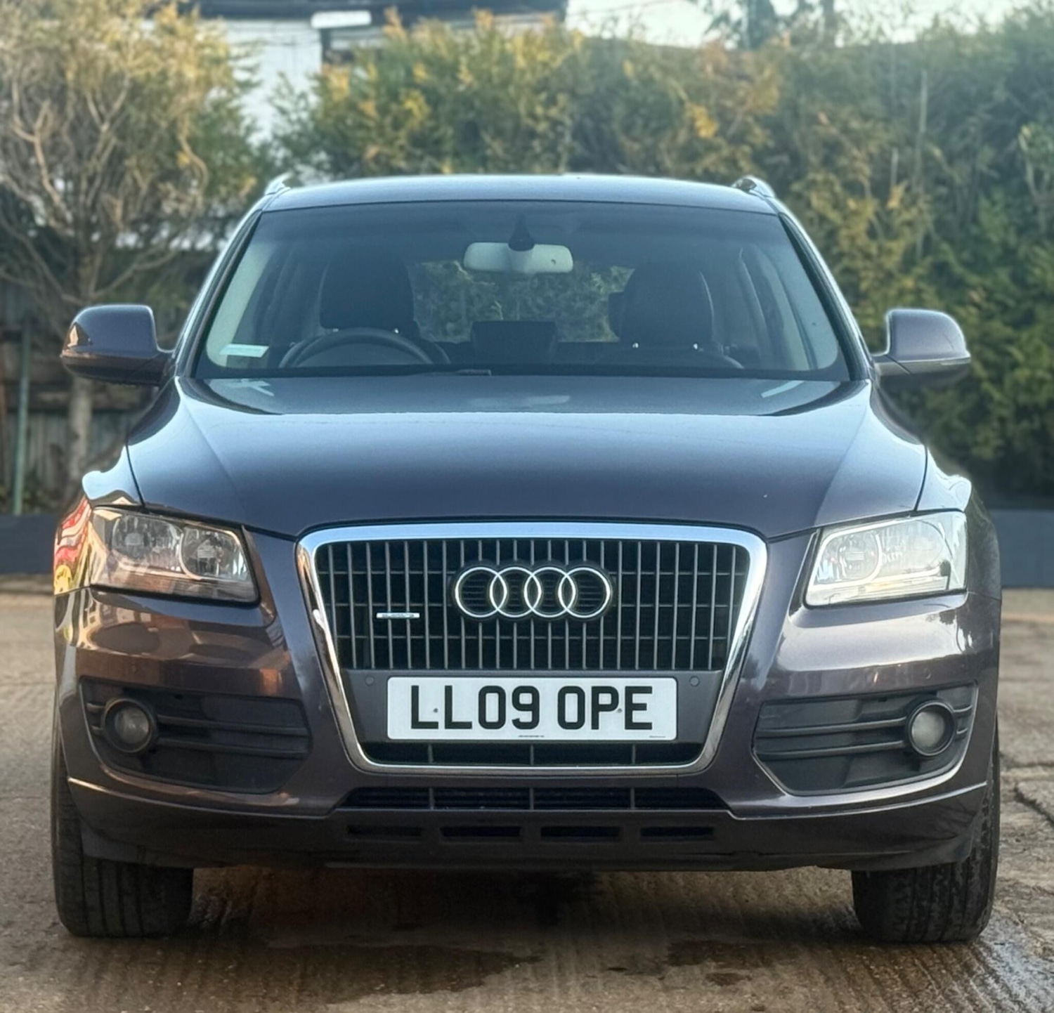 Used Audi Q5 2009 for sale - 77083375: Photo 3