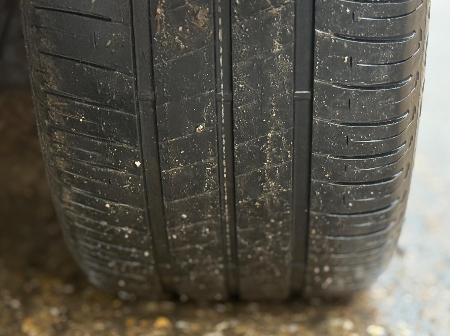 Used Ford Focus 2015 for sale - 77446278: Photo 49