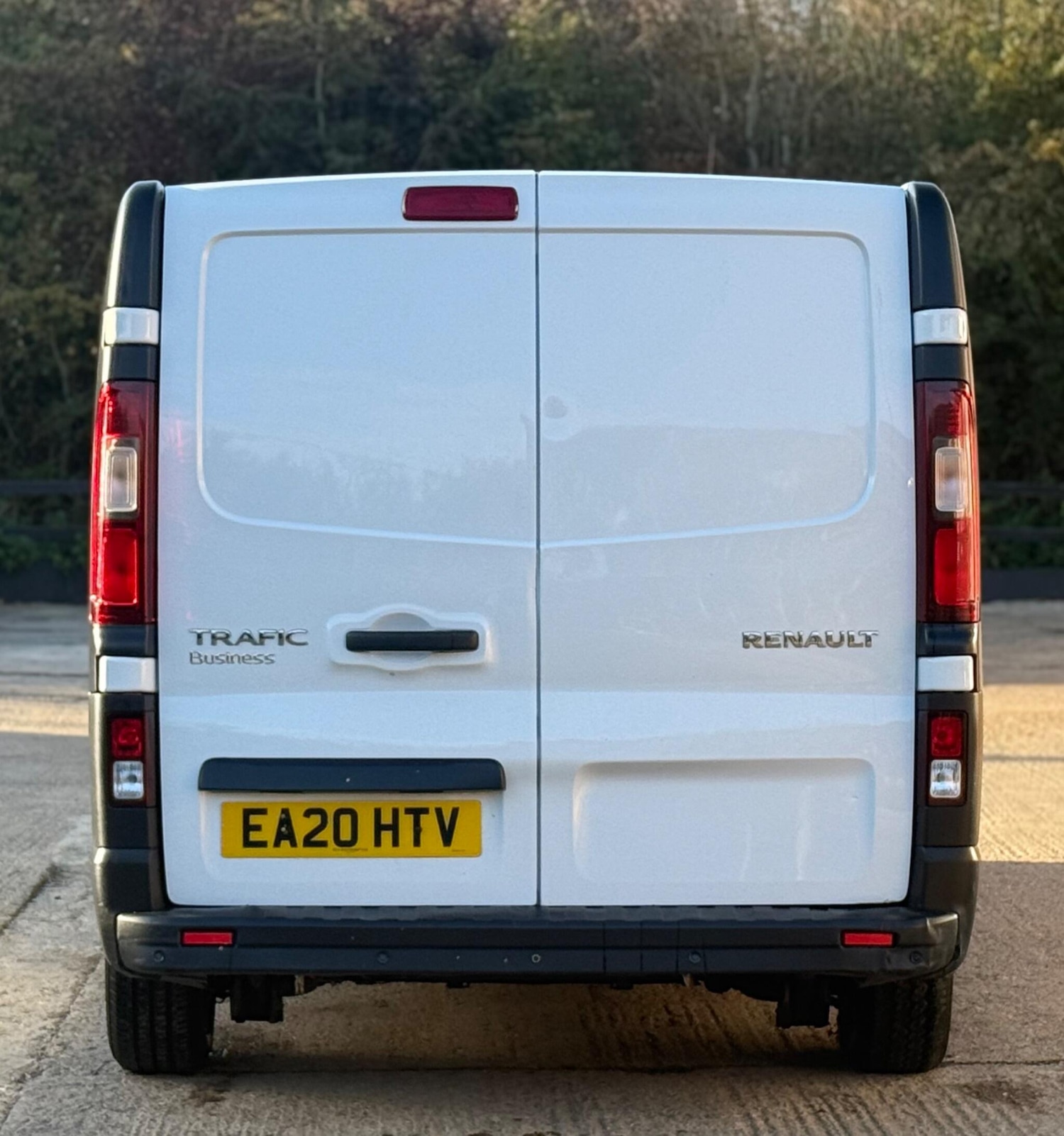 Used Renault Trafic 2020 for sale - 76395560: Photo 10