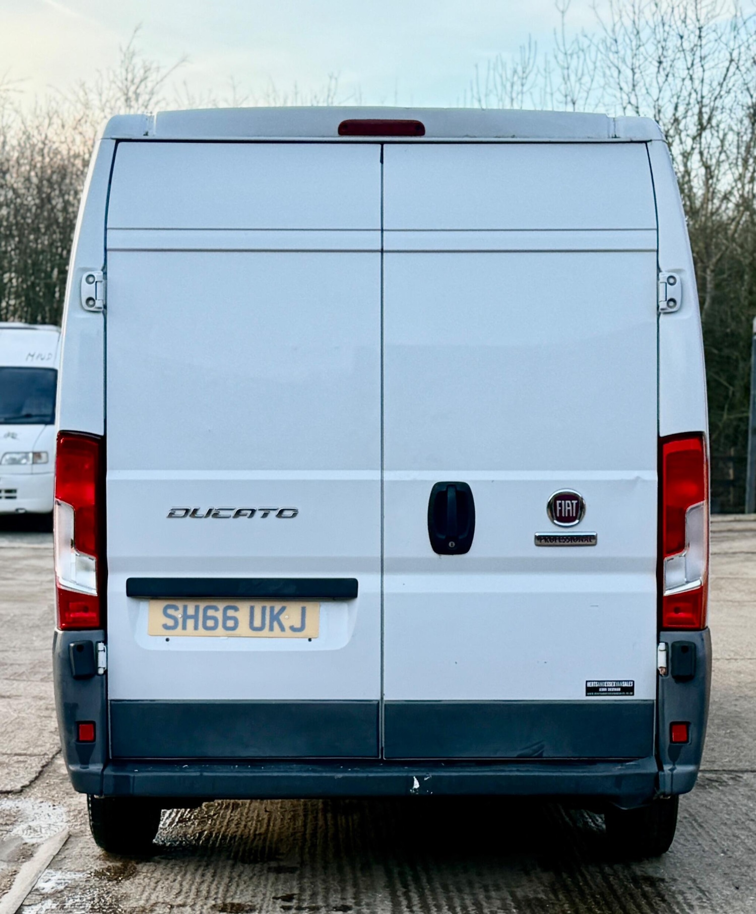 Used Fiat Ducato 2016 for sale - 77493729: Photo 3