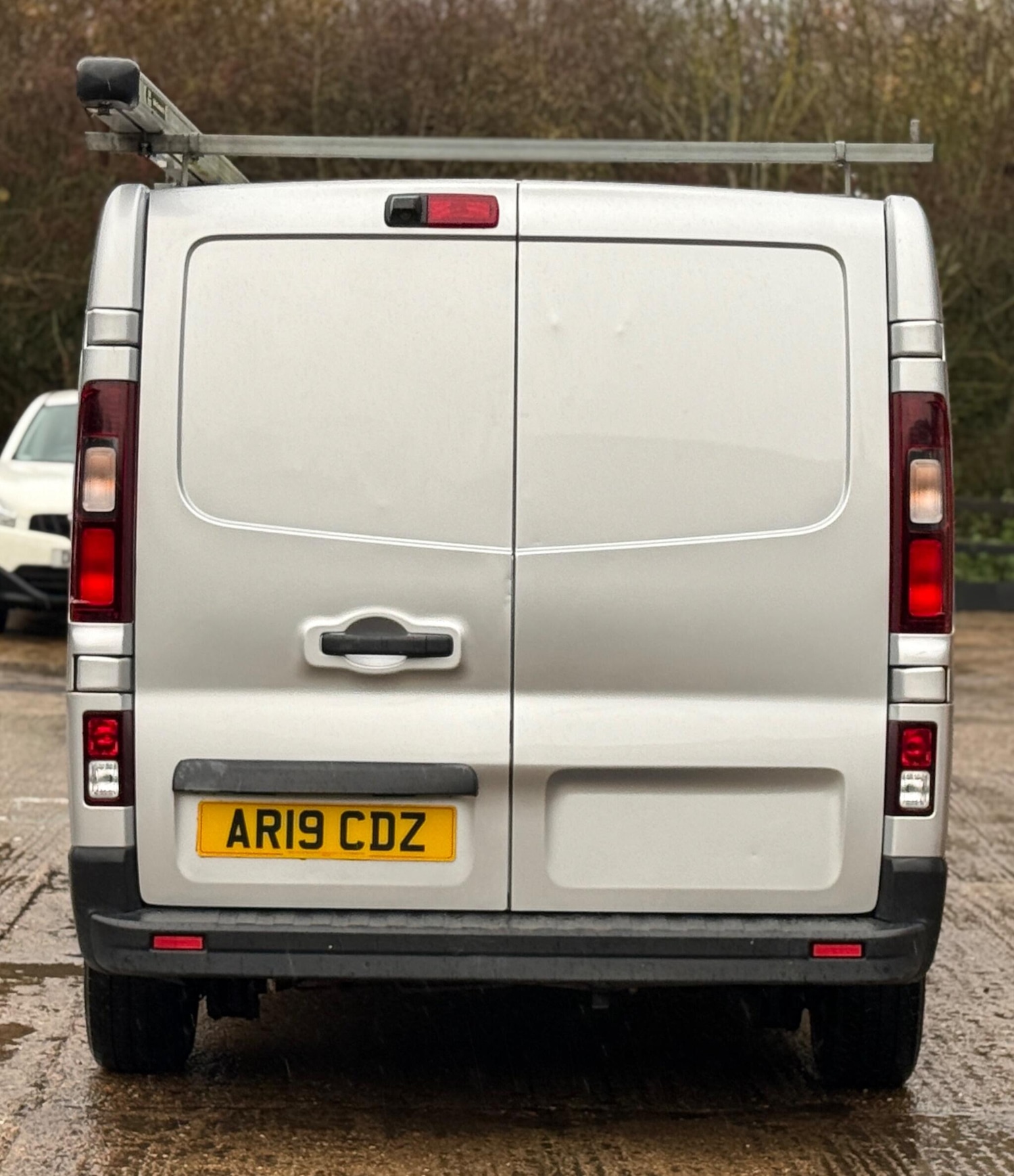 Used Renault Trafic 2019 for sale - 76739335: Photo 10