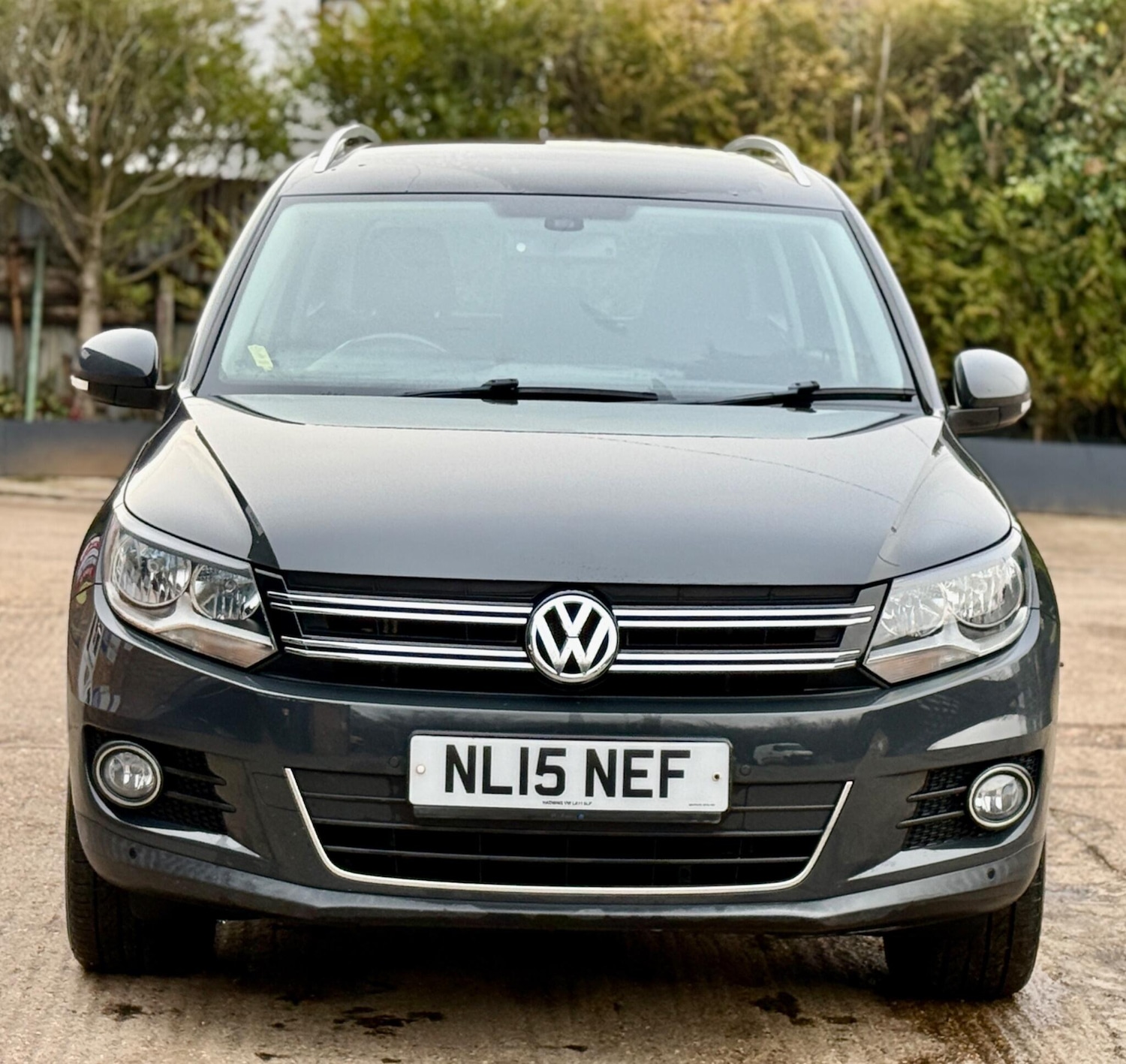 Used Volkswagen Tiguan 2015 for sale - 77529300: Photo 3