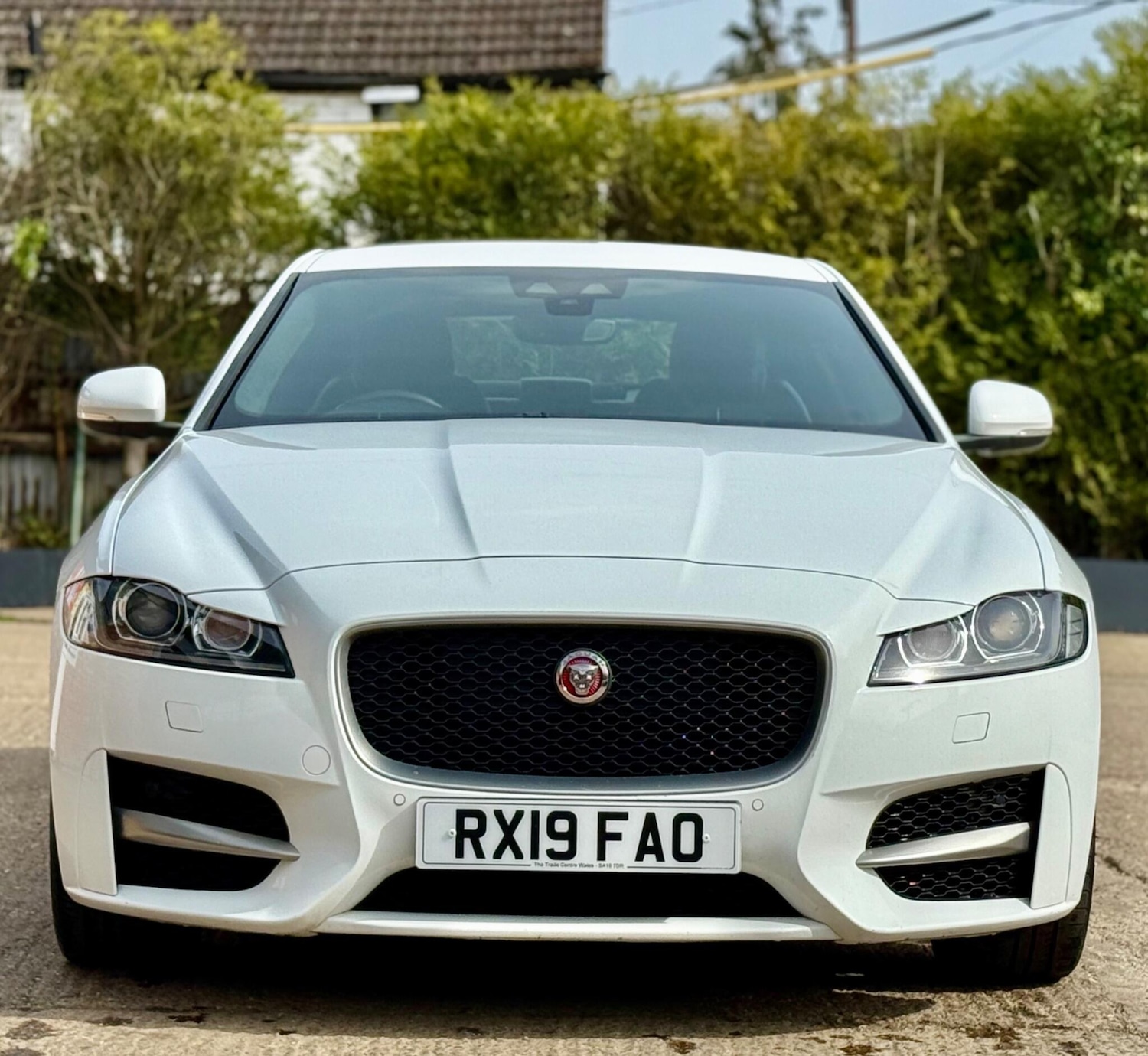 Used Jaguar XF 2019 for sale - 78201537: Photo 3
