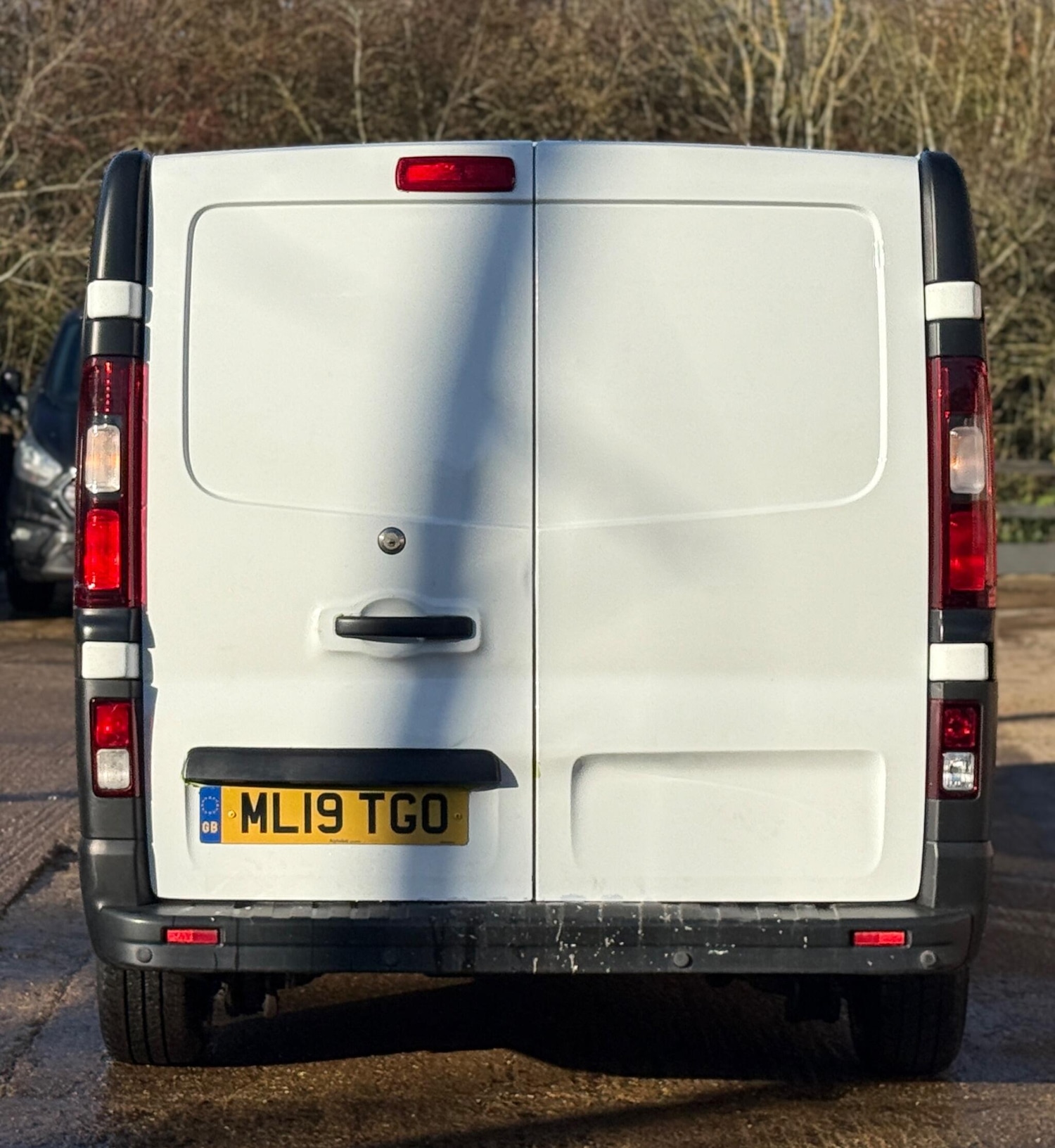Used Renault Trafic 2019 for sale - 76792451: Photo 9