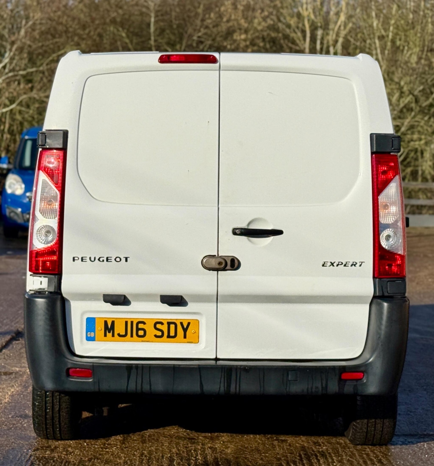 Used Peugeot Expert 2016 for sale - 77350478: Photo 10