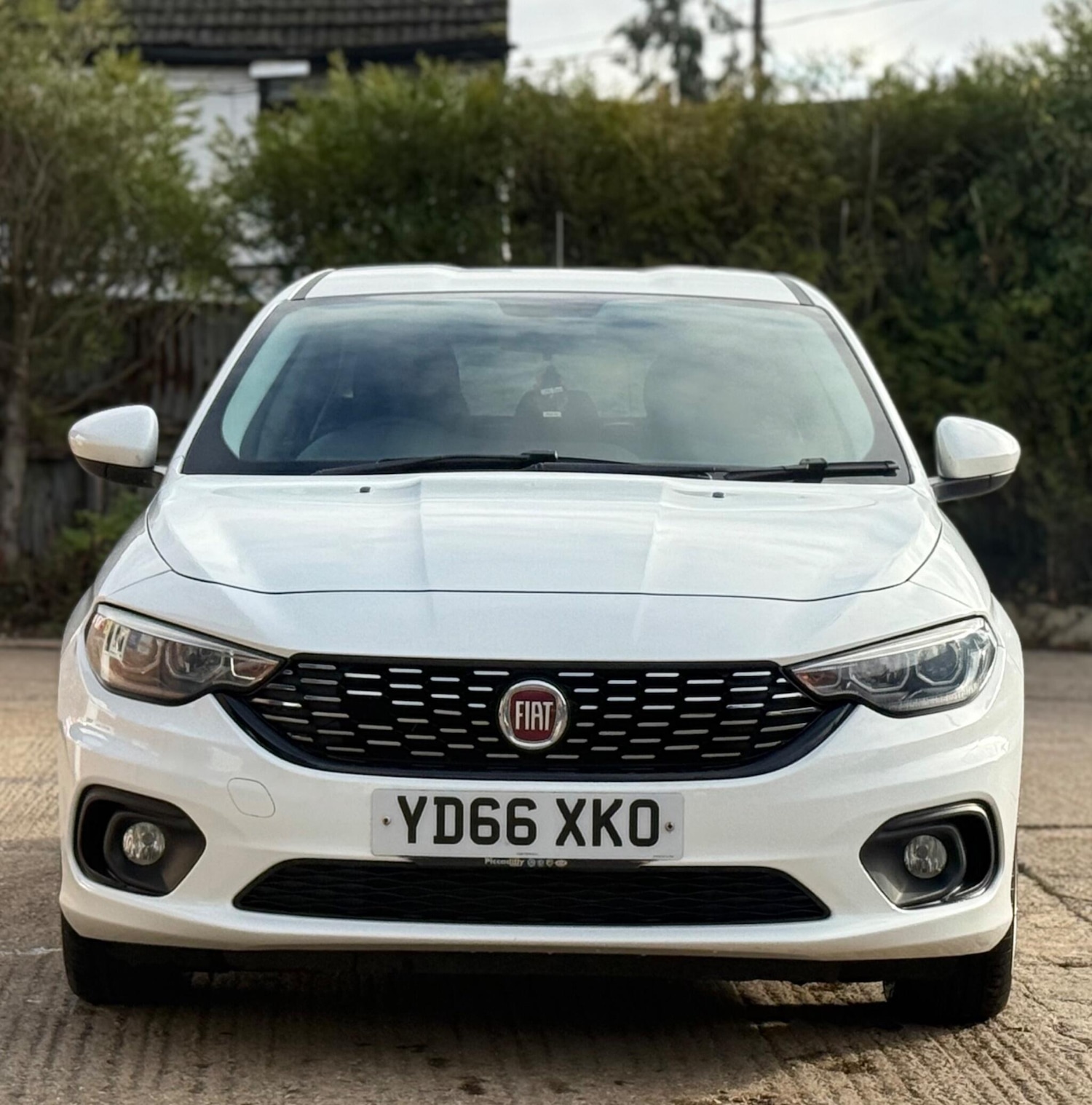 Used Fiat Tipo 2016 for sale - 76637998: Photo 3