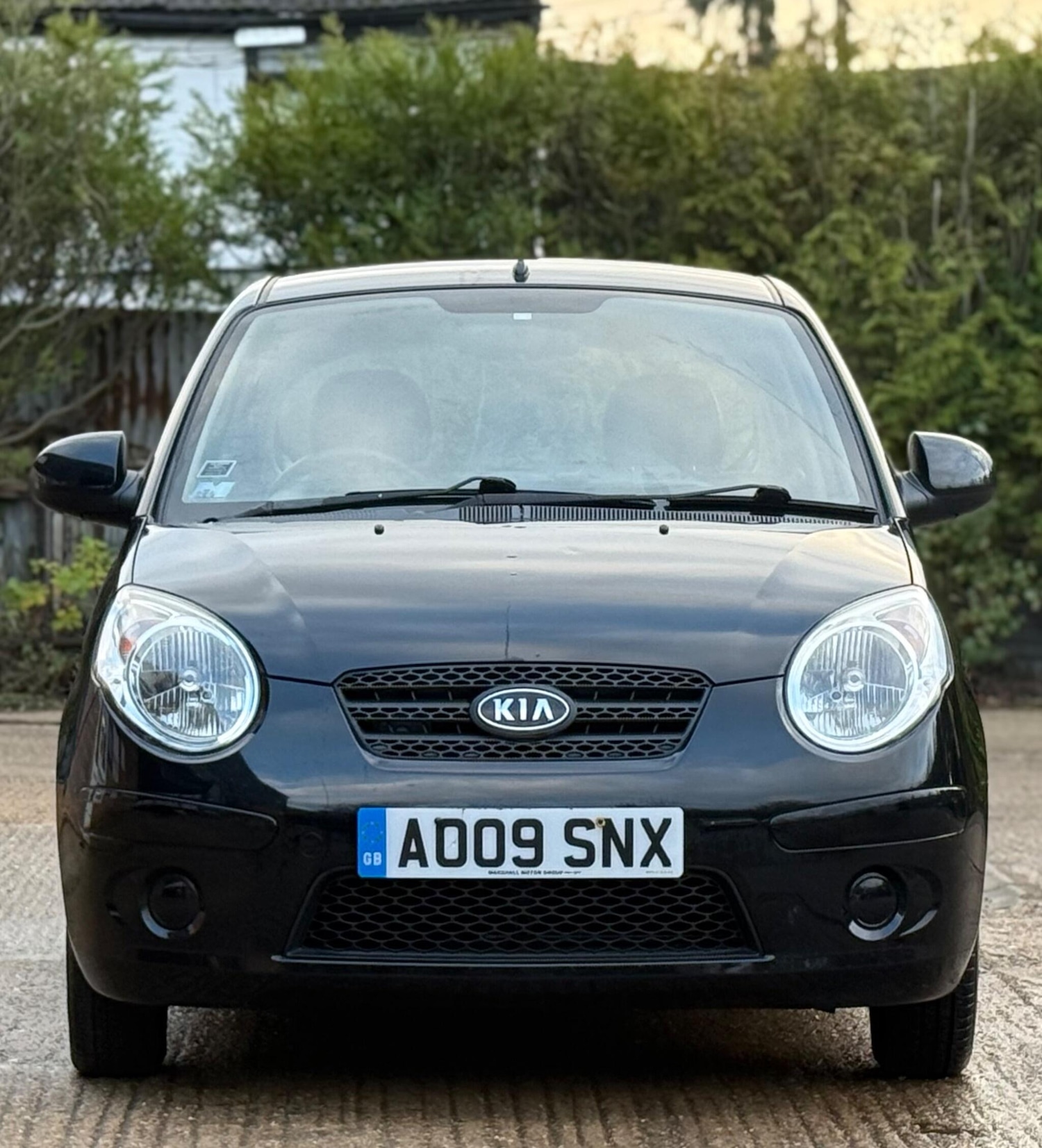 Used Kia Picanto 2009 for sale - 76685575: Photo 3