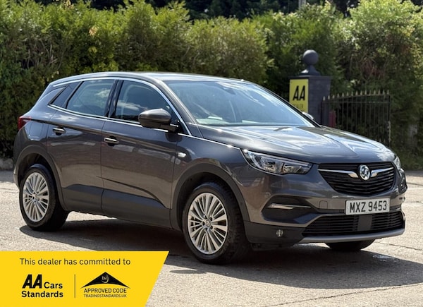 Used Vauxhall Grandland X 2019 for sale - 75482875: Photo 1