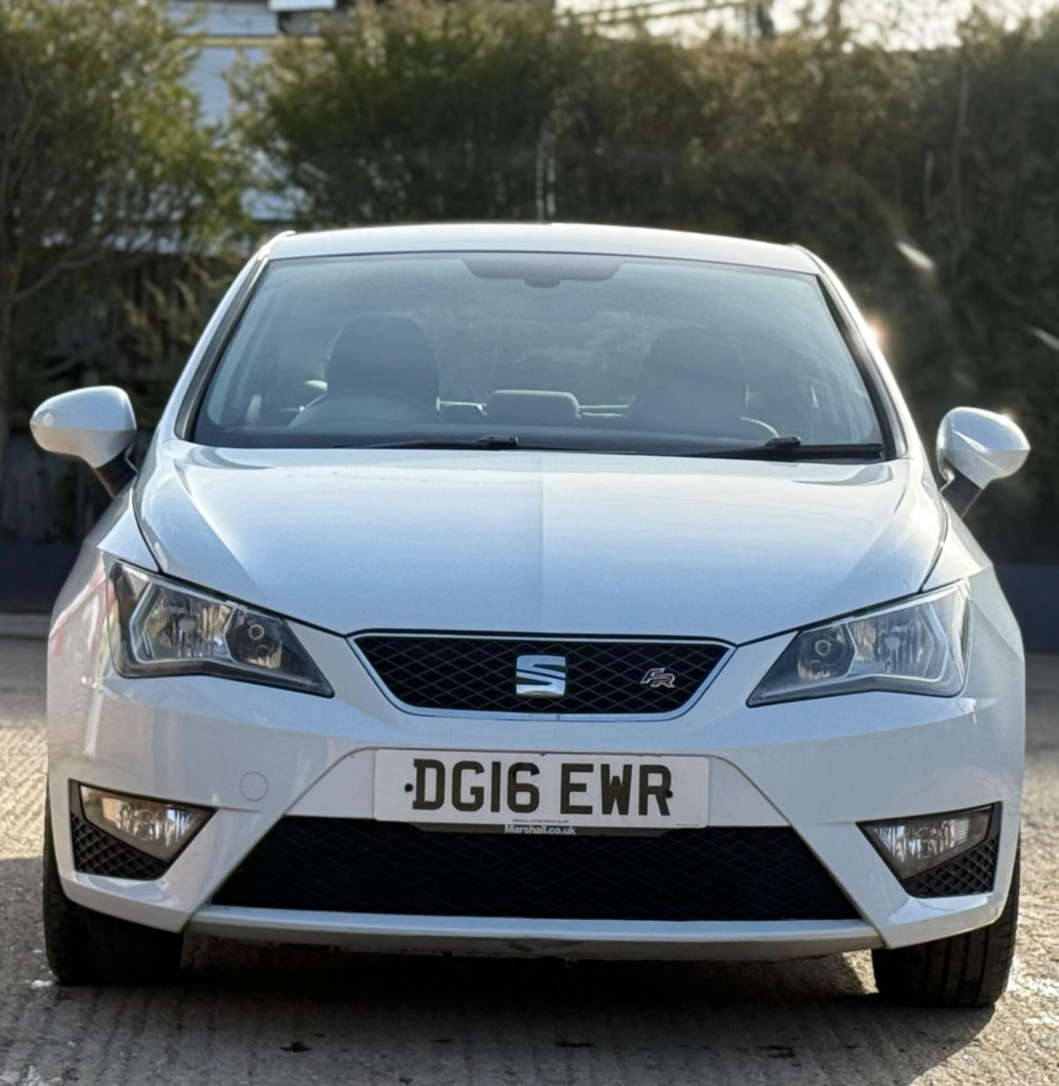 Used SEAT Ibiza 2016 for sale - 77639477: Photo 3
