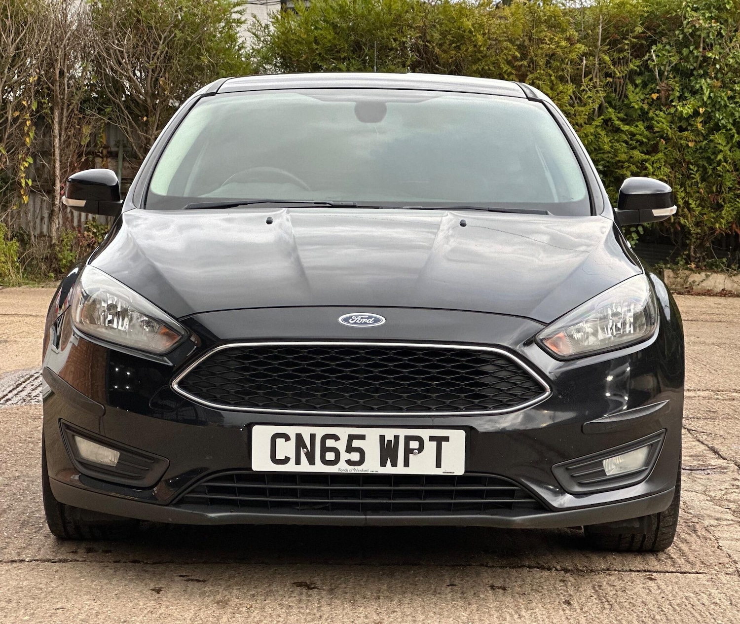 Used Ford Focus 2015 for sale - 76357815: Photo 5
