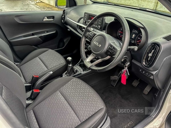 Used Kia Picanto 2023 for sale - 78136595: Photo 11