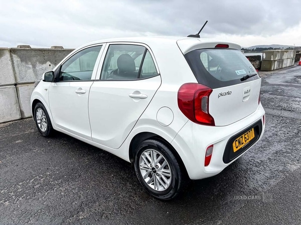 Used Kia Picanto 2023 for sale - 78136595: Photo 3