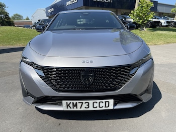 Used Peugeot 308 2023 for sale - 79159232: Photo