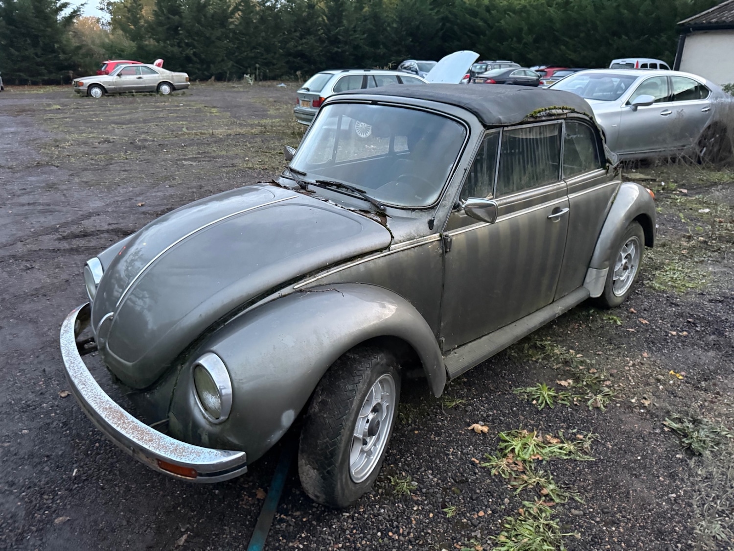 Used Volkswagen Beetle 1977 for sale - 76566440: Photo 6