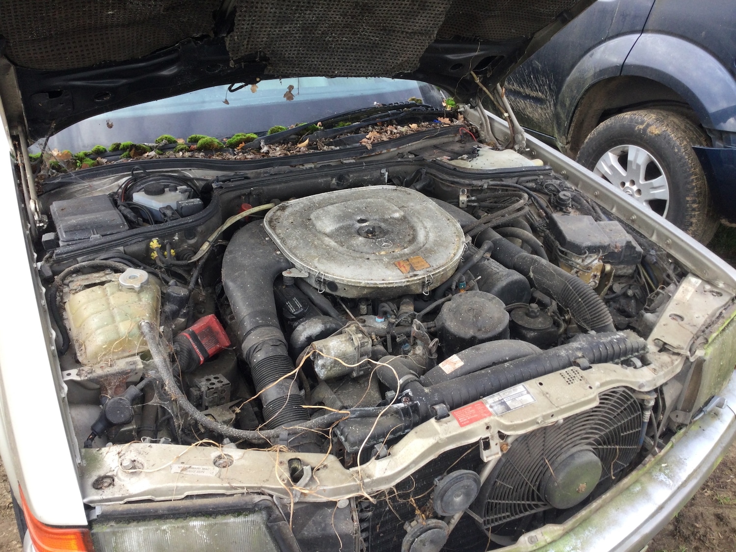 Used Mercedes-Benz S Class 1991 for sale - 76479983: Photo 7