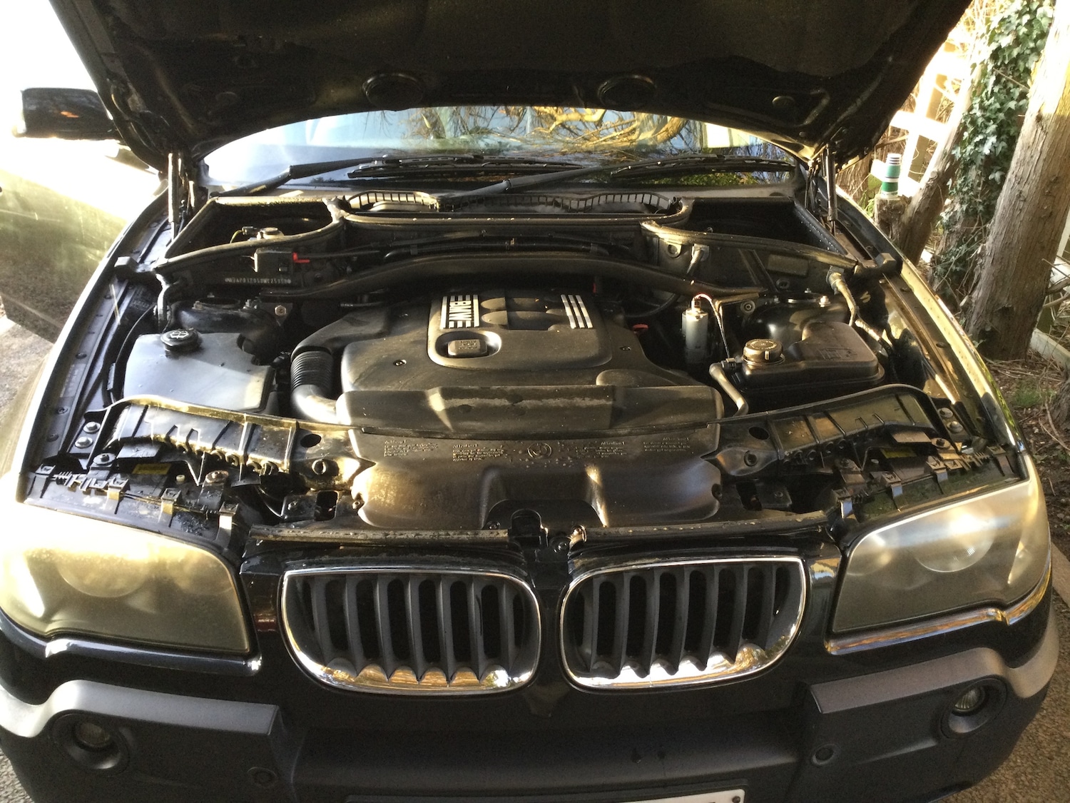 Used BMW X3 2005 for sale - 76684449: Photo 15