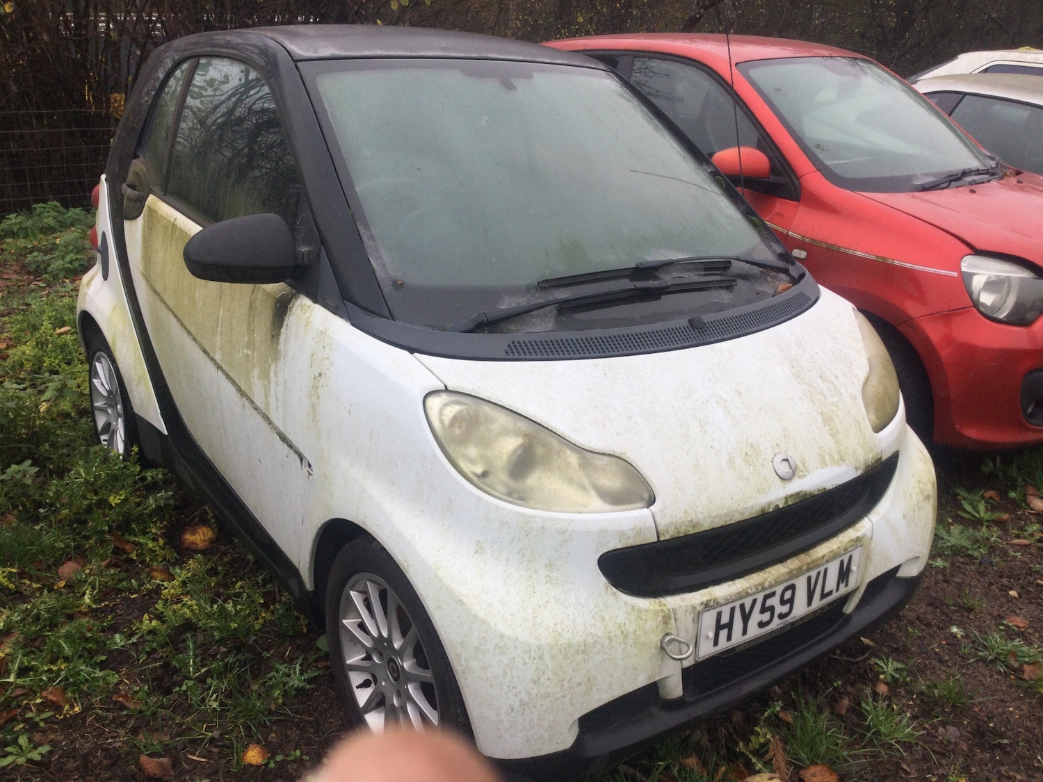 Used smart fortwo 2009 for sale - 76588892: Photo 6