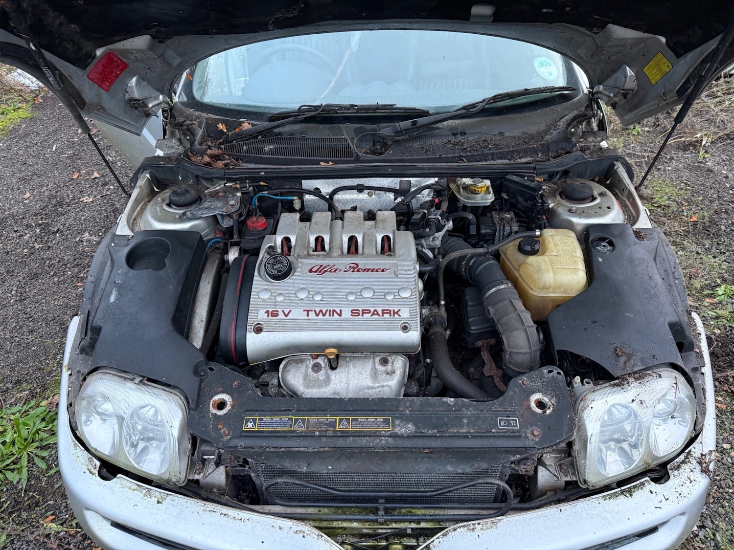 Used Alfa Romeo GTV 2002 for sale - 76447617: Photo 4