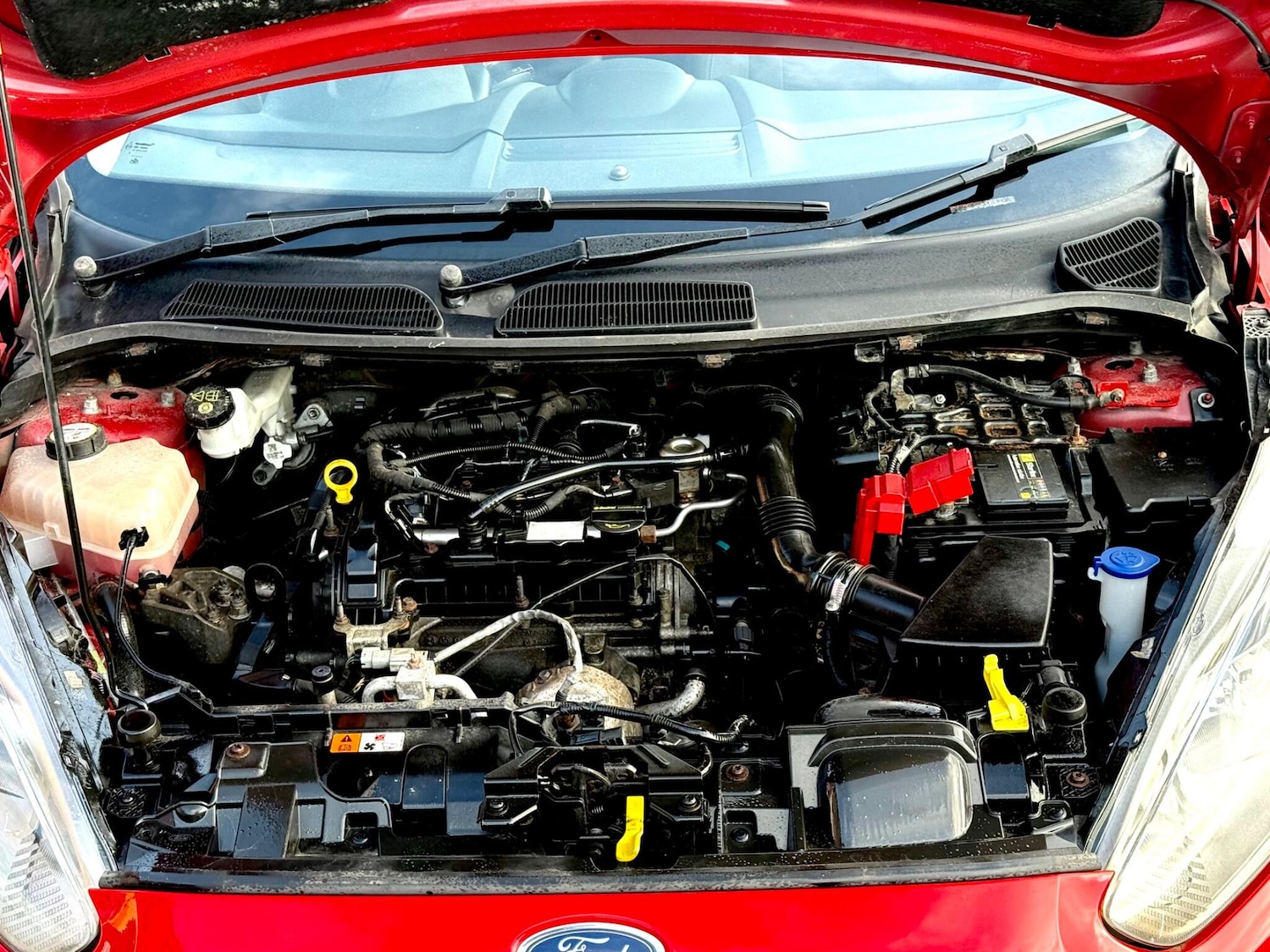 Used Ford Fiesta for sale - 77670672: Photo 28