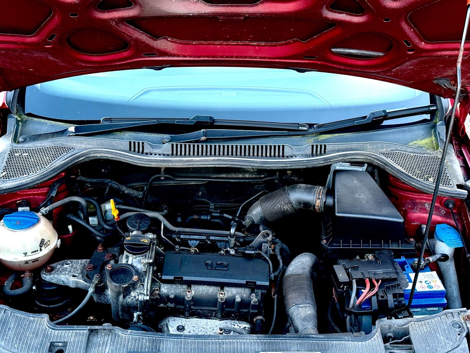 Used SEAT Ibiza for sale - 77670671: Photo 31