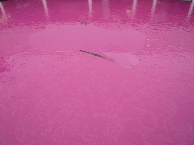 Used Citroen DS3 2012 for sale - 77687411: Photo 12