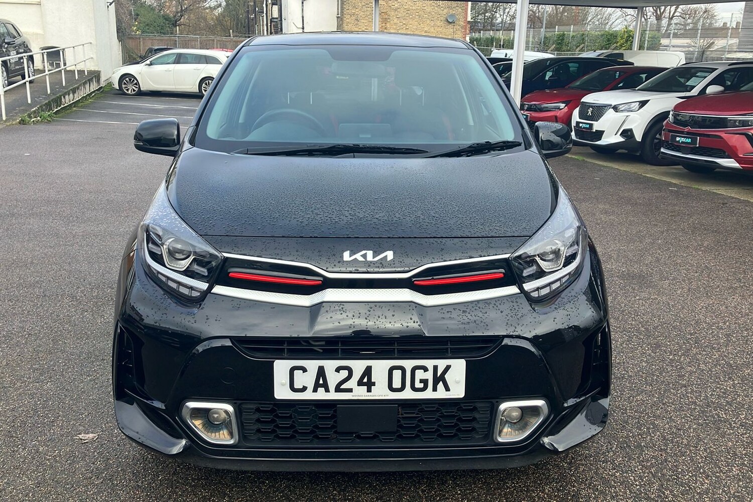 Used Kia Picanto 2024 for sale - 77744017: Photo 8