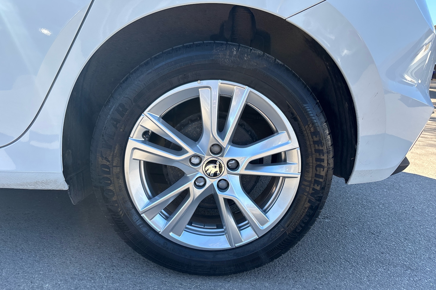 Used Skoda Fabia 2024 for sale - 77794920: Photo 10