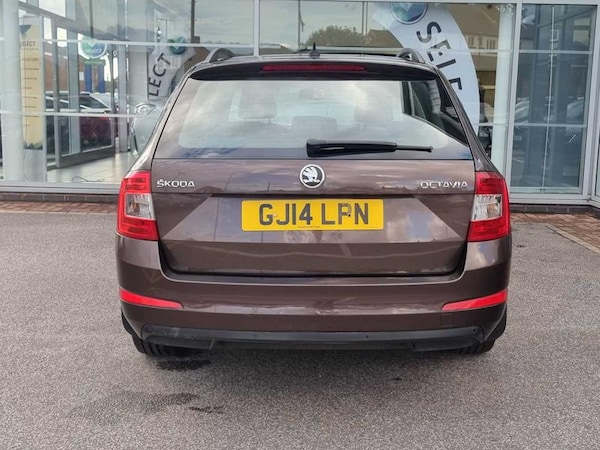 Used Skoda Octavia 2014 for sale - 76067527: Photo 6