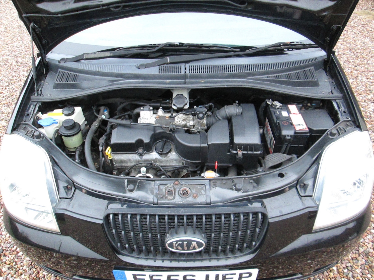 Used Kia Picanto 2007 for sale - 77401768: Photo 20