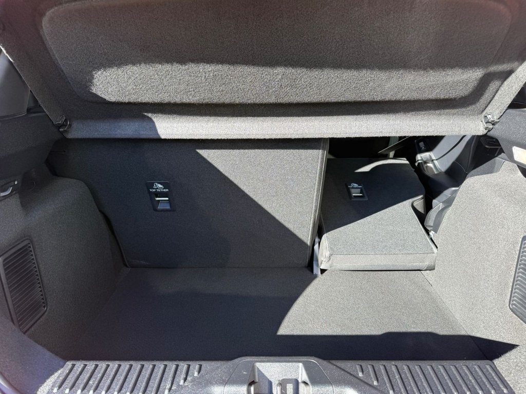 Used Ford Fiesta 2023 for sale - 77583849: Photo 41