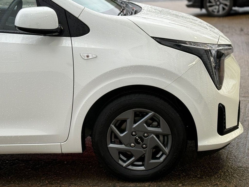 Used Kia Picanto 2025 for sale - 77276230: Photo 15