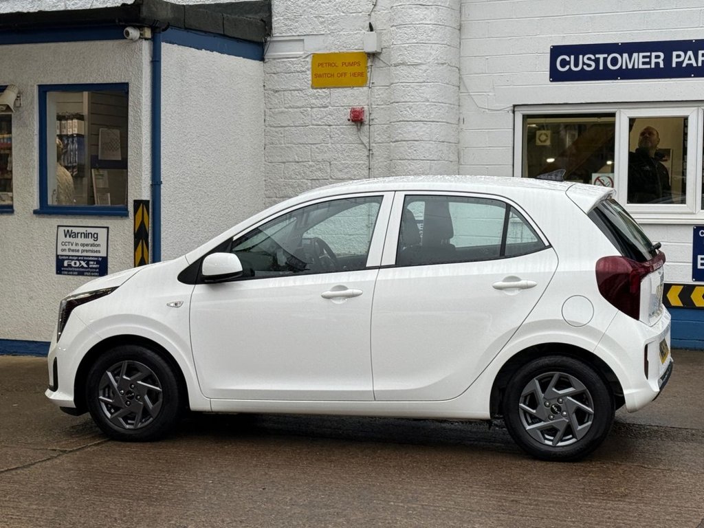 Used Kia Picanto 2025 for sale - 77276230: Photo 3