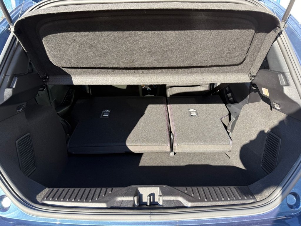 Used Ford Fiesta 2023 for sale - 77583838: Photo 42