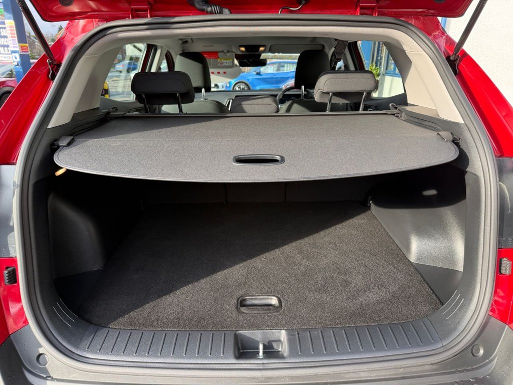 Used Kia Sportage 2025 for sale - 77276346: Photo 6