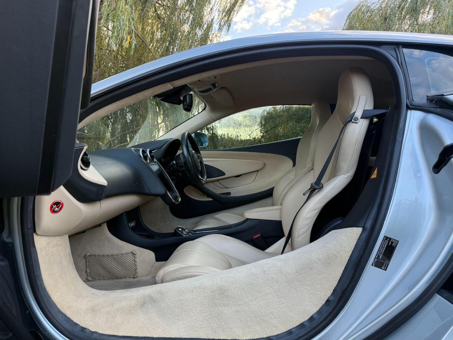 Used McLaren 570S 2016 for sale - 78004579: Photo 32