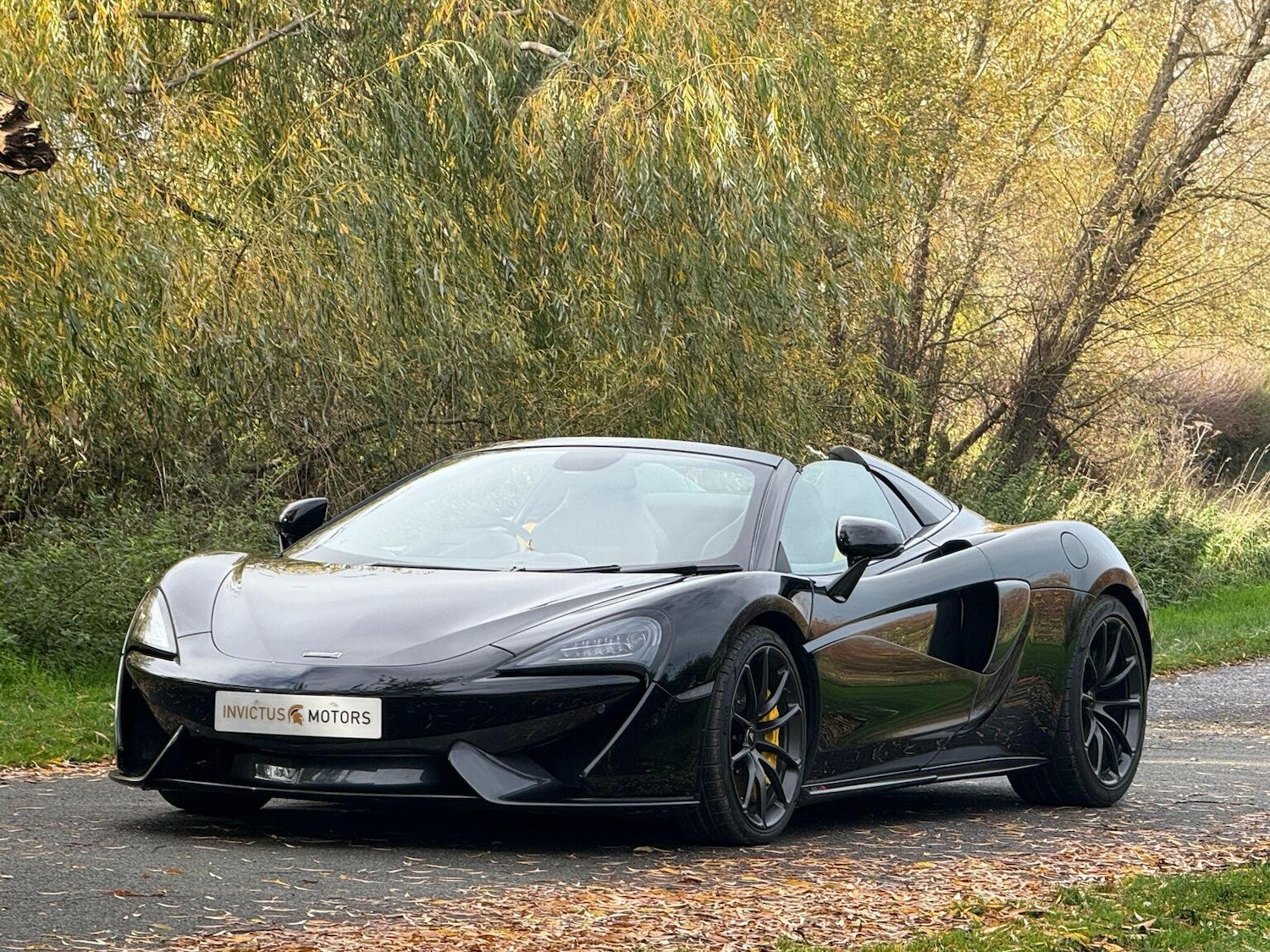 Used McLaren 570S 2019 for sale - 76716190: Photo 14