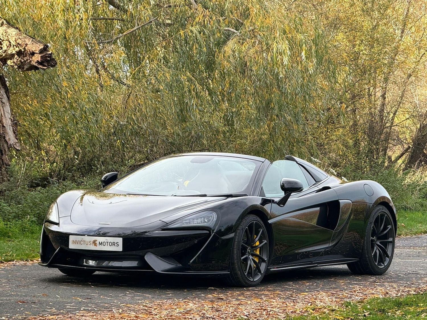 Used McLaren 570S 2019 for sale - 76716190: Photo 17