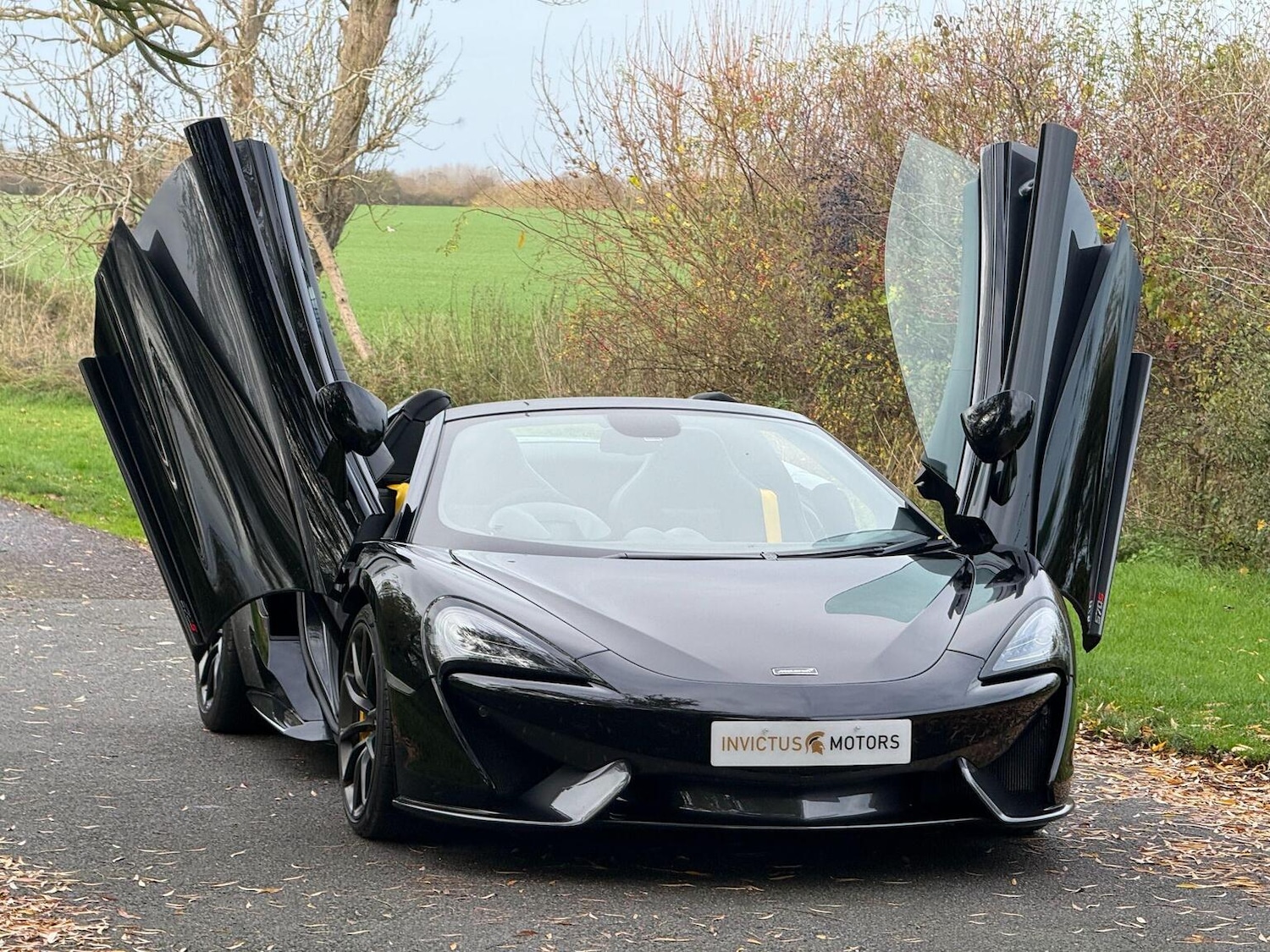 Used McLaren 570S 2019 for sale - 76716190: Photo 27