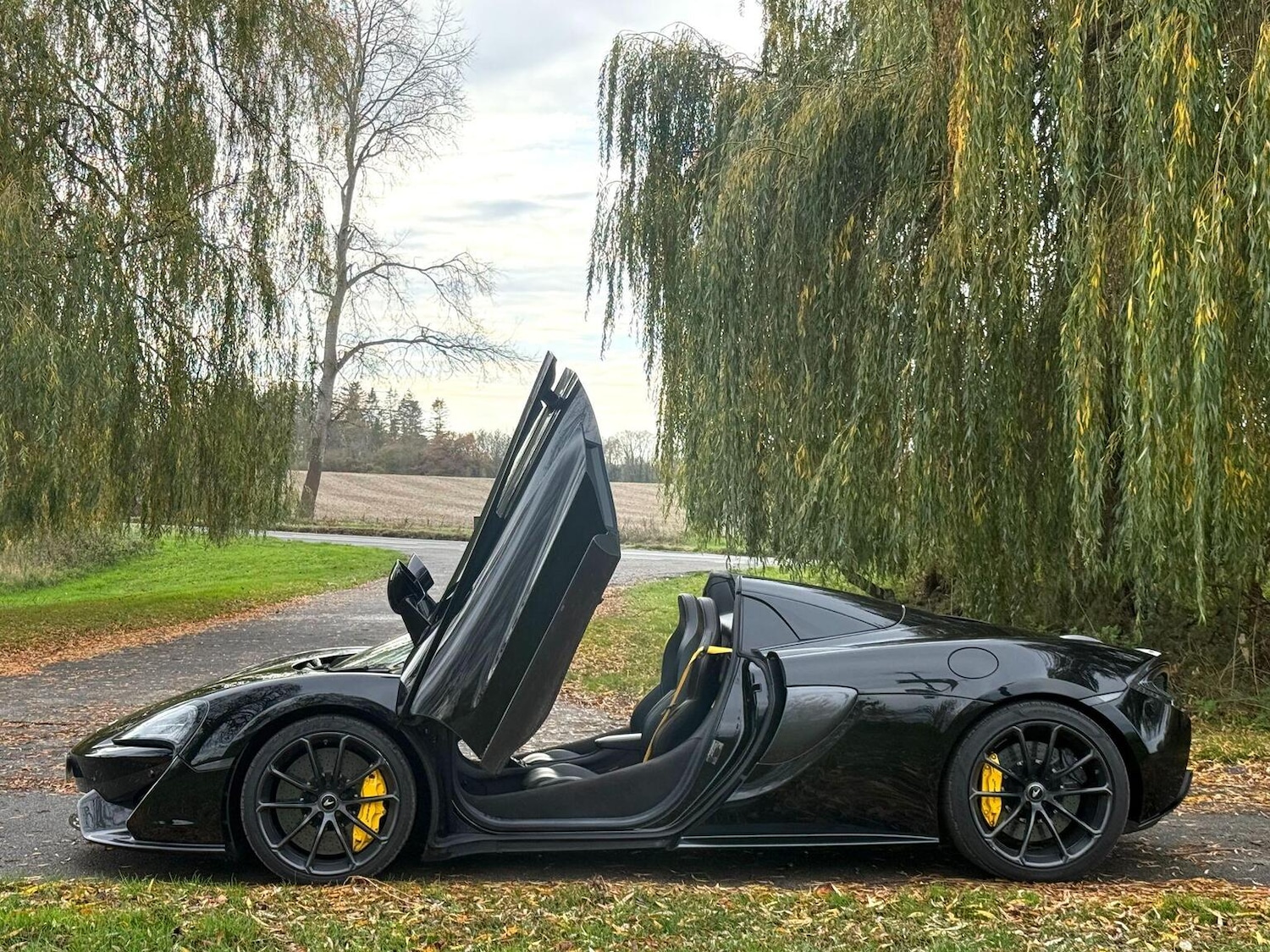 Used McLaren 570S 2019 for sale - 76716190: Photo 4