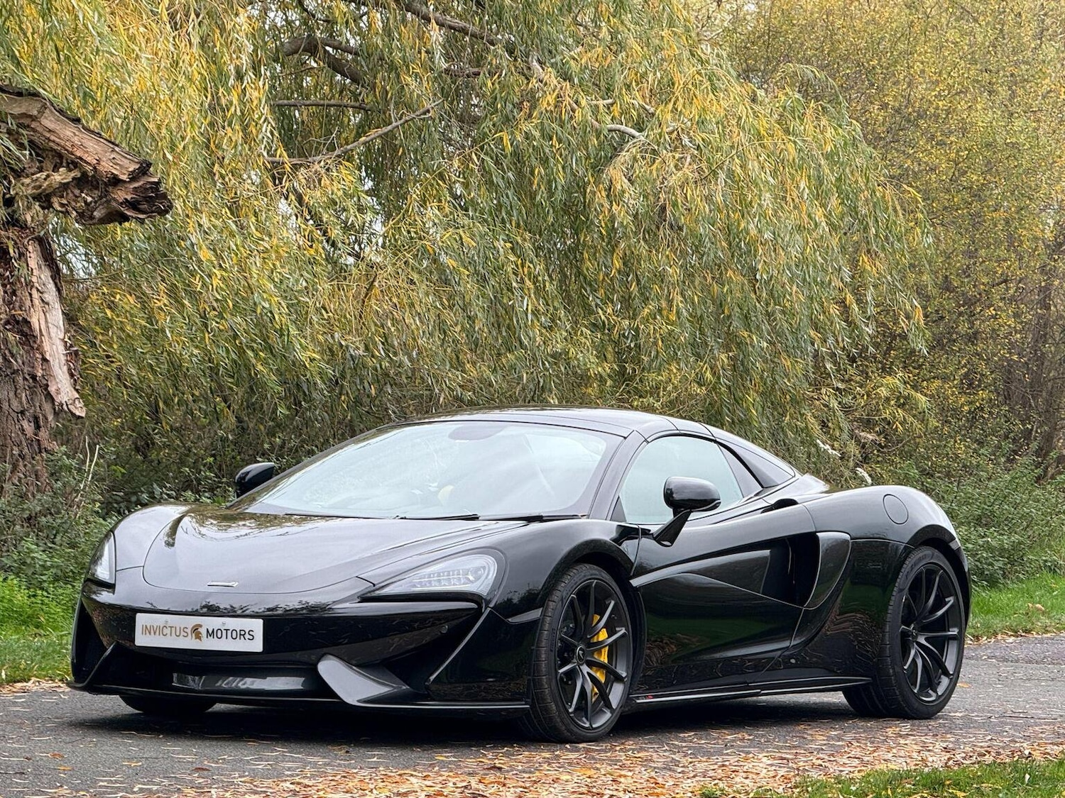 Used McLaren 570S 2019 for sale - 76716190: Photo 64