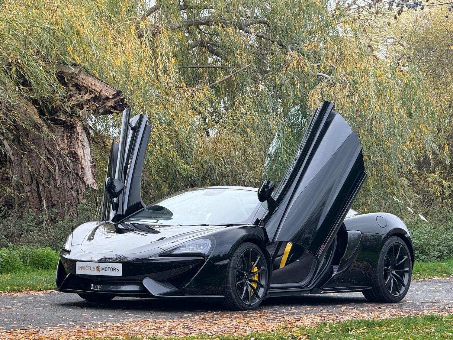 Used McLaren 570S 2019 for sale - 76716190: Photo 65