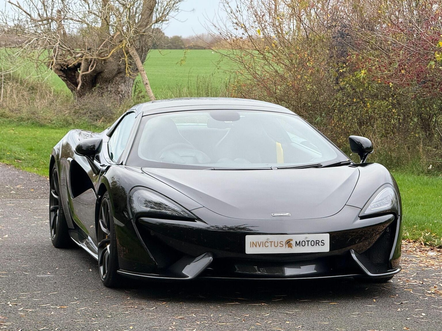 Used McLaren 570S 2019 for sale - 76931444: Photo 12