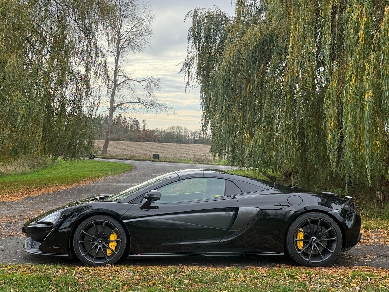 Used McLaren 570S 2019 for sale - 76931444: Photo 18