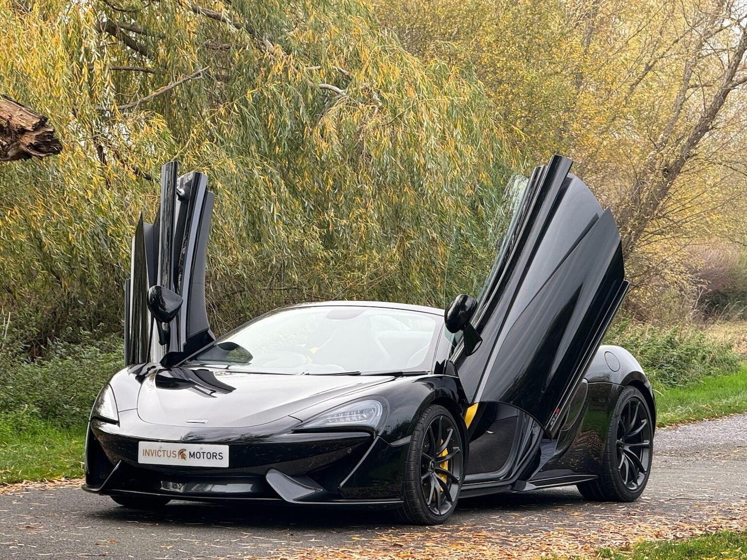 Used McLaren 570S 2019 for sale - 76931444: Photo 19