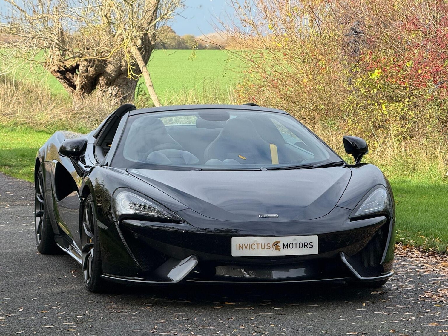 Used McLaren 570S 2019 for sale - 76931444: Photo 26
