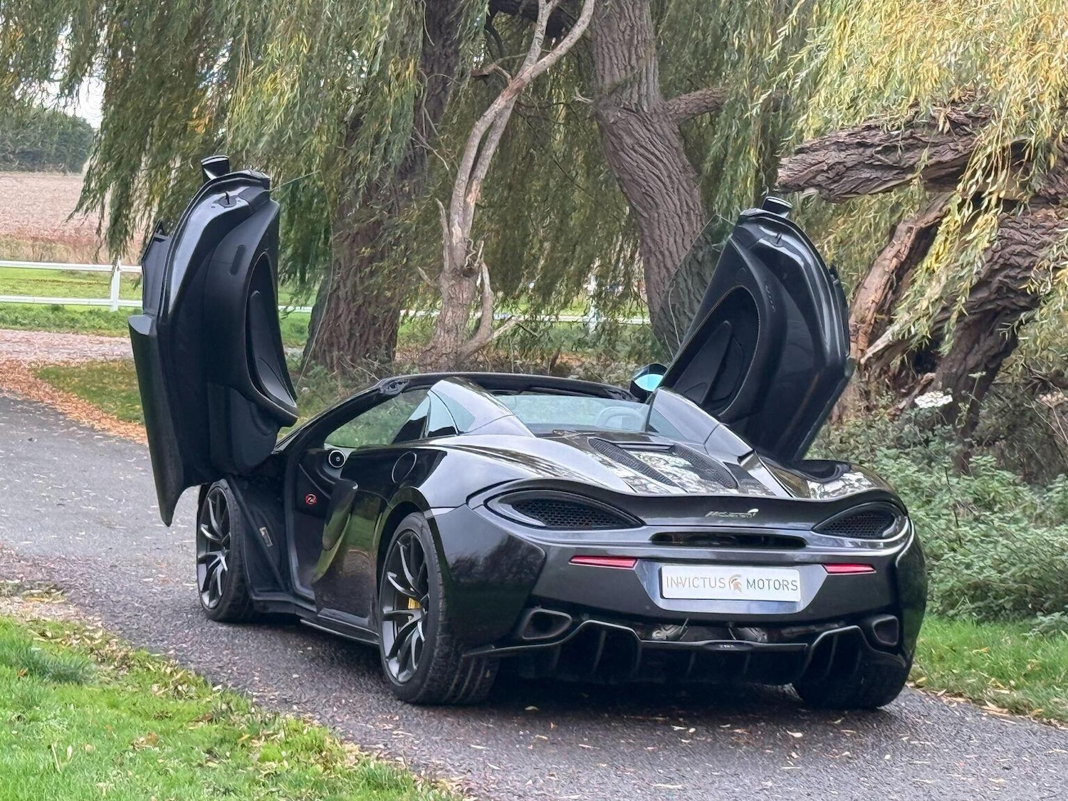 Used McLaren 570S 2019 for sale - 76931444: Photo 3